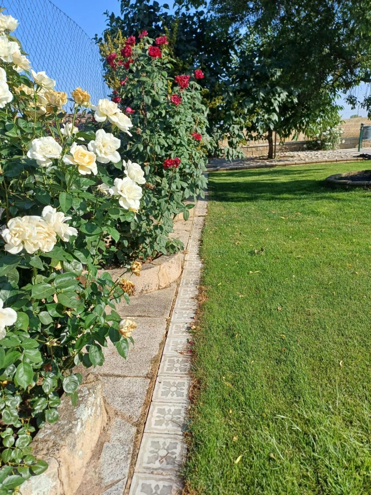 El Almendro Del Cura Villa Villarmayor  Luaran gambar